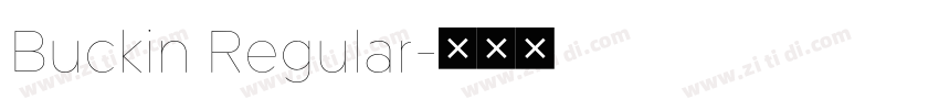 Buckin Regular字体转换
